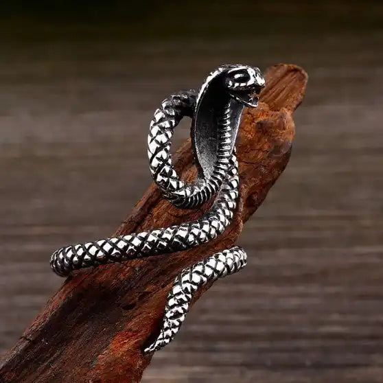 silver ring of a coiled snake
