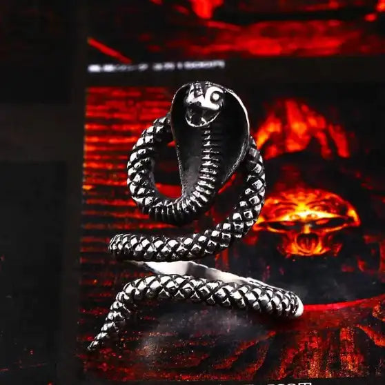 silver ring of a coiled snake